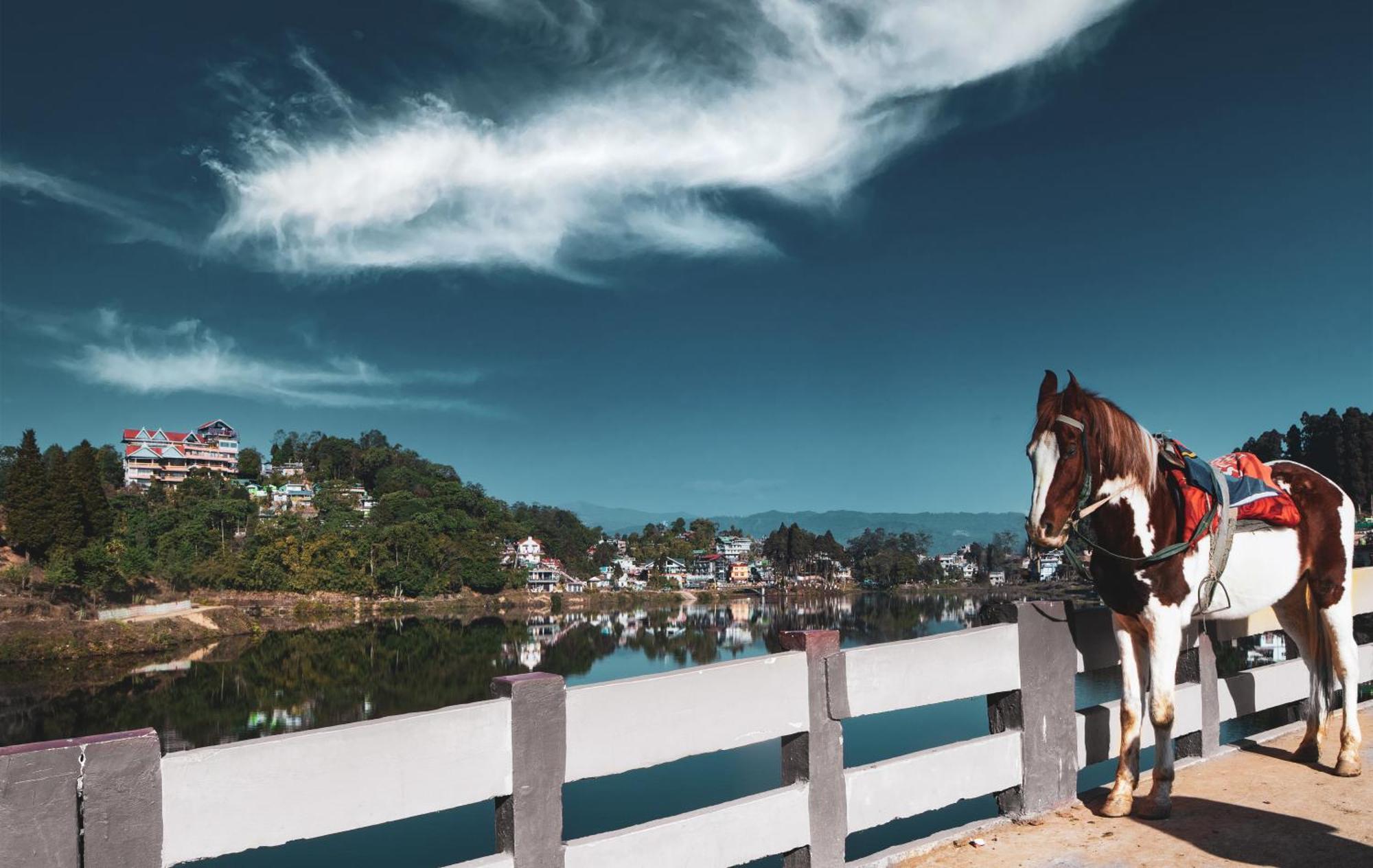 Hotel Bungalov  Mirik Exteriér fotografie